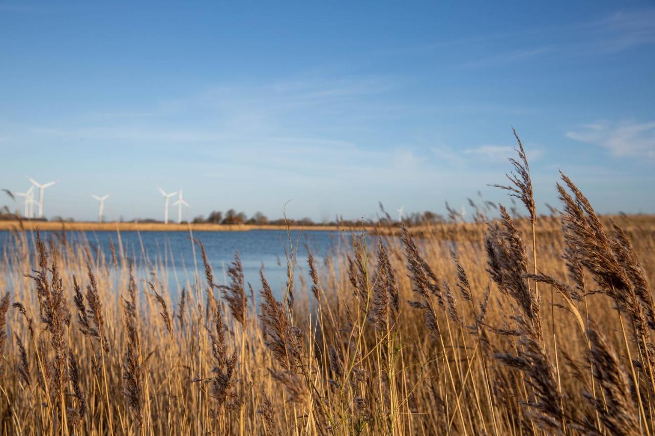 Daenisches Blockhaus Direkt Am Wangermeer Schillig Exterior foto